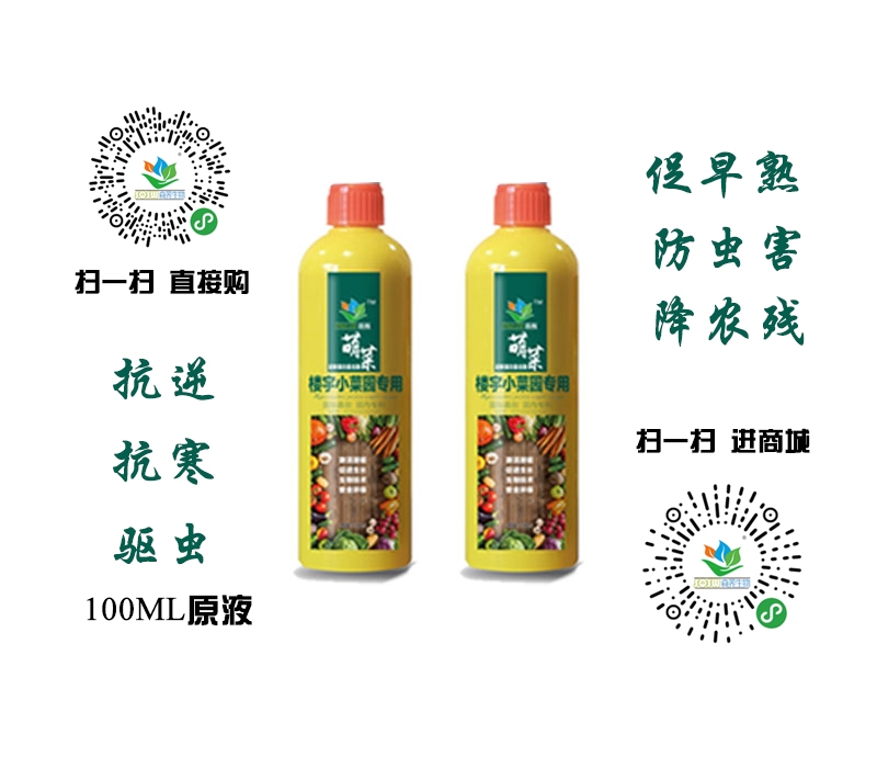 森酶牌萌菜楼宇小菜园专用复合酶（原液）-100ML