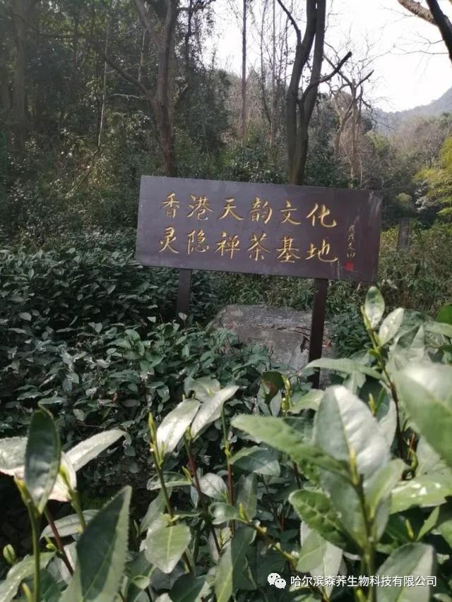 黑龙江超敏蛋白复合酶