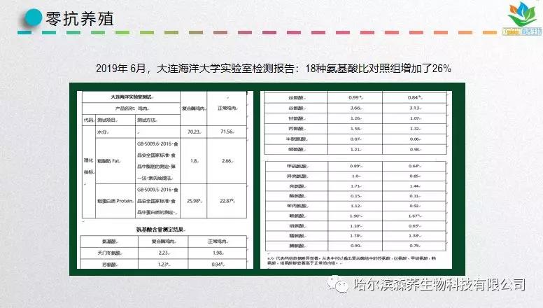 无抗生素养殖