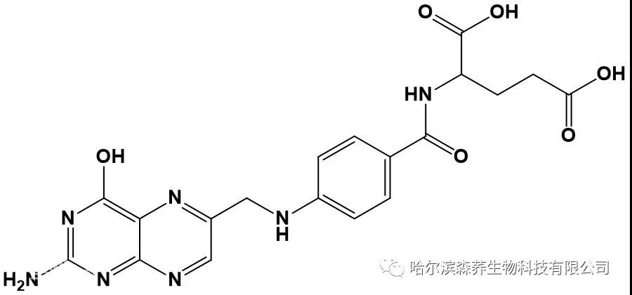 哈尔滨超敏蛋白