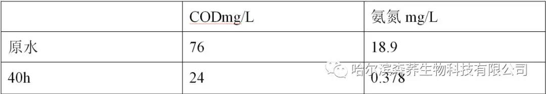 微信图片_20200618092422.jpg