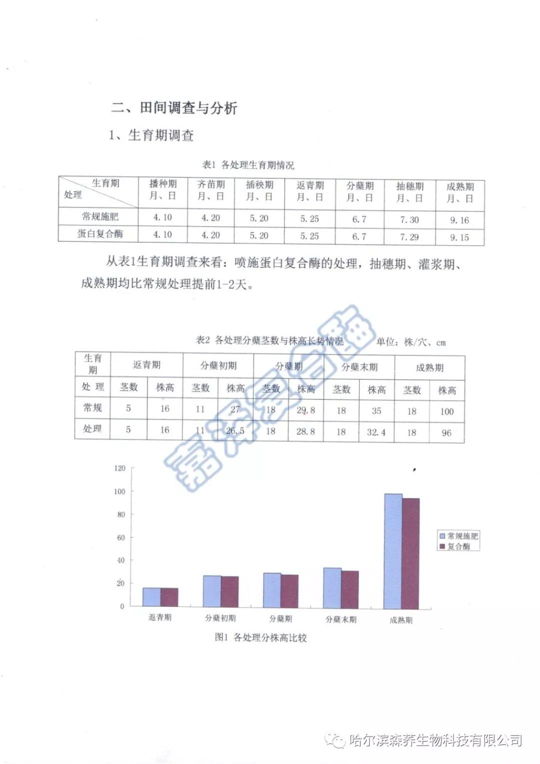 苗床应用复合酶