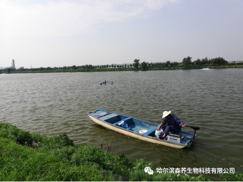 超蛋白复合酶