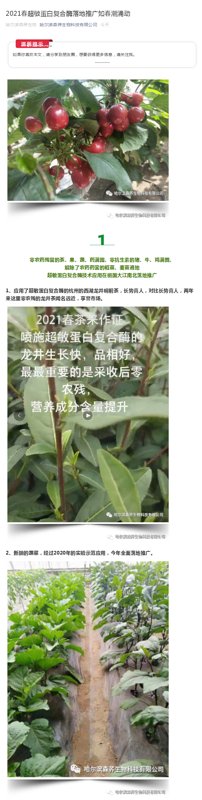 2021春超敏蛋白复合酶落地推广如春潮涌动_01.jpg